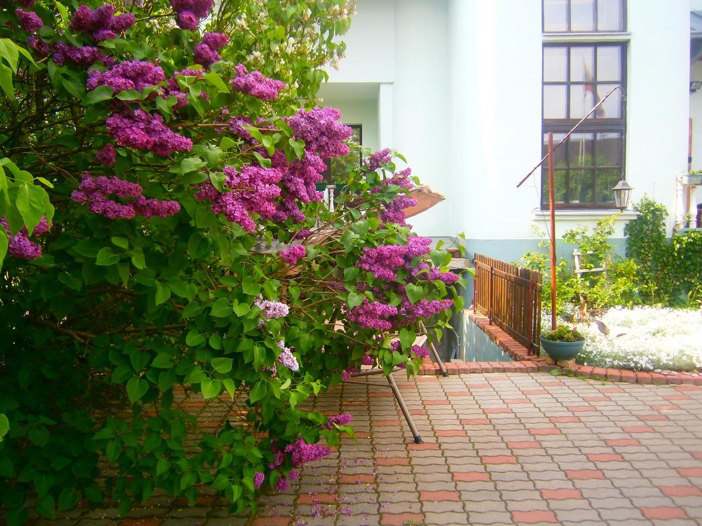 Nemunas Tour Residence Ringaudai Ngoại thất bức ảnh