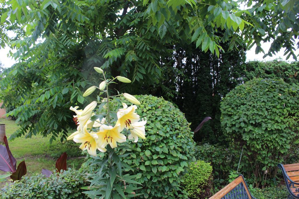 Nemunas Tour Residence Ringaudai Ngoại thất bức ảnh